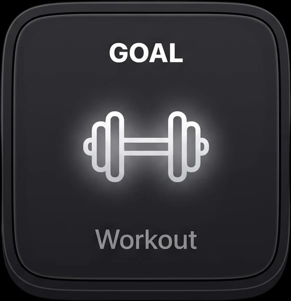 Goal: Workout